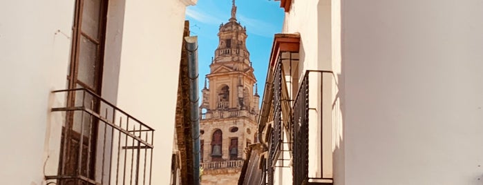 La Calleja De Las Flores is one of cordoba.