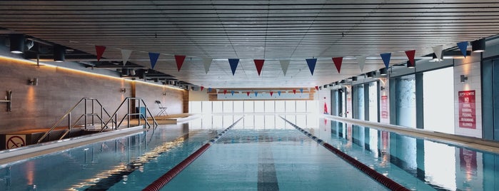 Google Swimming Pool is one of Dublin.