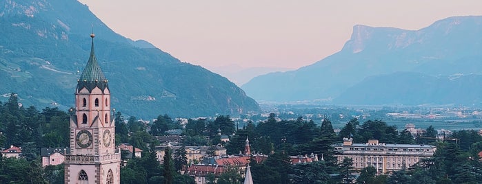 Saxifraga Stub'n is one of Alto Adige.