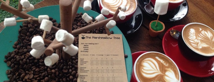 The Marshmallow Tree is one of Singapore:Café, Restaurants, Attractions and Hotel.
