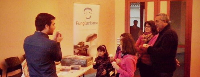 Fungiturismo is one of Mario’s Liked Places.