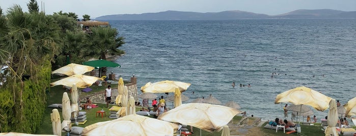 Alya Beach Otel is one of สถานที่ที่ Burcu ถูกใจ.