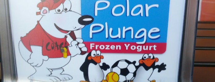Polar Plunge is one of Ice Cream & Desserts.