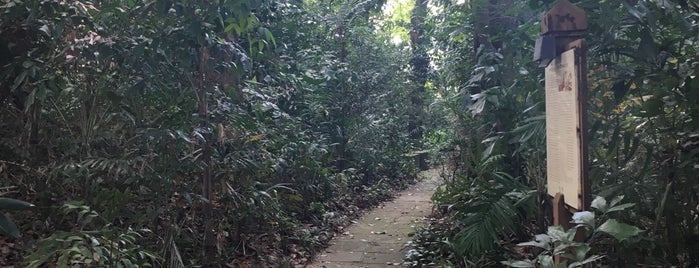 Labrador Nature Reserve is one of Singapour.