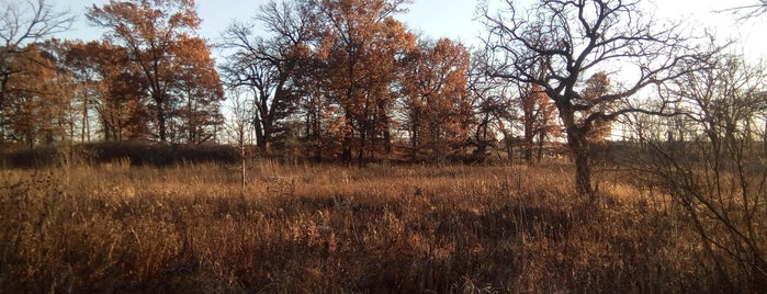 Bluff Spring Fen is one of Illinois Nature Preserves.