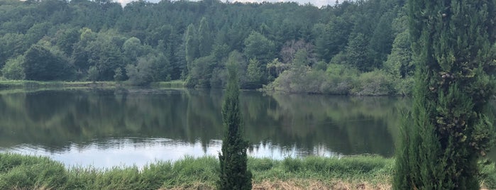 Domaine De Vau Rosé is one of Posti che sono piaciuti a Mariam.