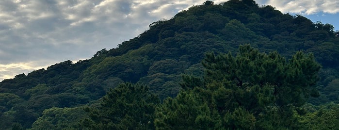 Ruins of Hagi Castle / Shizuki Park is one of Lugares favoritos de ZN.