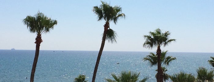 Finikoudes Beach is one of My places to visit in Larnaca.