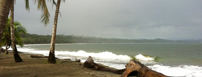 Playa Manzanillo is one of Playas Costa Rica.