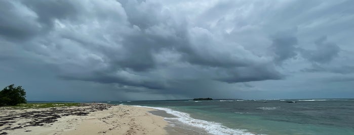 Isla Zapatilla is one of Praias / Playas de Panamá.
