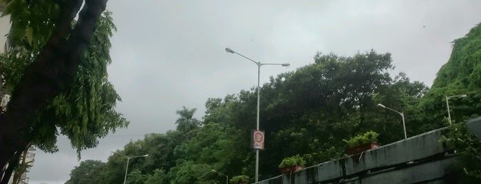Kemps Corner Flyover is one of Mumbai City.