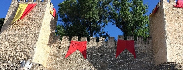Castelo de Torres Novas is one of Lieux qui ont plu à Y.