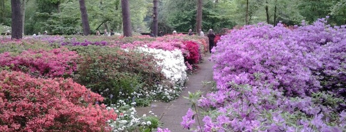 Rhododendronpark is one of Bremen.