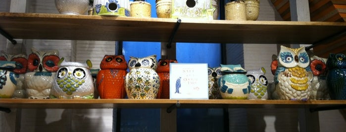 Anthropologie is one of NY Shopping.