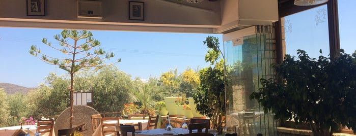 Thea Restaurant is one of Agios nikolaos.