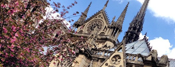 Catedral de Notre-Dame de Paris is one of Places to Go.