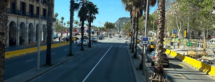 Passeig de Colom is one of Sitios por los que estar en Barcelona.