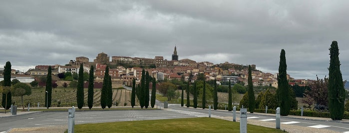 Dinastia Vivanco is one of Bodegas de España.