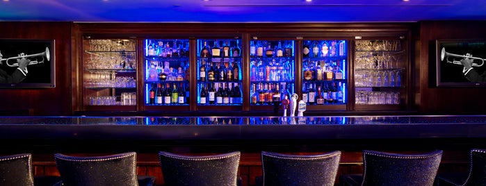 Blue Bar at The Algonquin Hotel Times Square, Autograph Collection is one of USA NYC Favorite Bars.