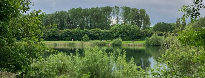 Chorlton Water Park is one of Great Britain.