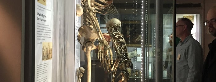 Hunterian Museum is one of Brit stops: Go off the beaten path.