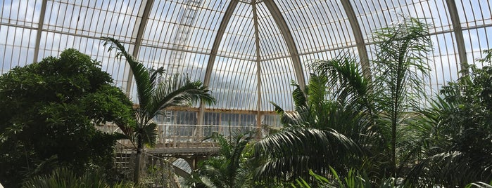 Palm House is one of Serres et verrières🌿.