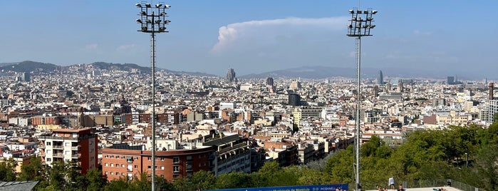 Piscina Municipal de Montjuïc is one of Barca.