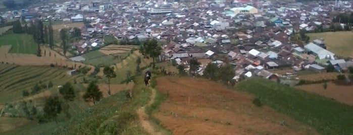 Batur Dieng is one of BANJARNEGARA.