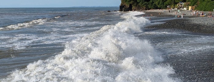 Makhinjauri Beach is one of Celâl’s Liked Places.