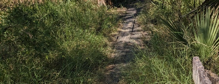 Bayou Coquielle Trail is one of new orleans.