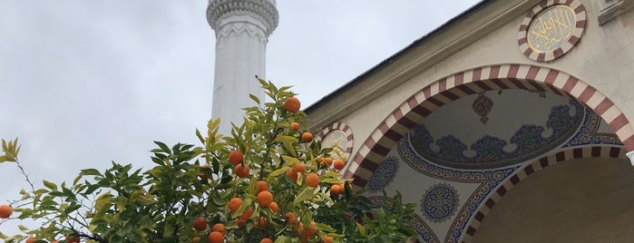 Yavuz Selim Camii is one of Osmanlı Hükümdarlarının Türbeleri.
