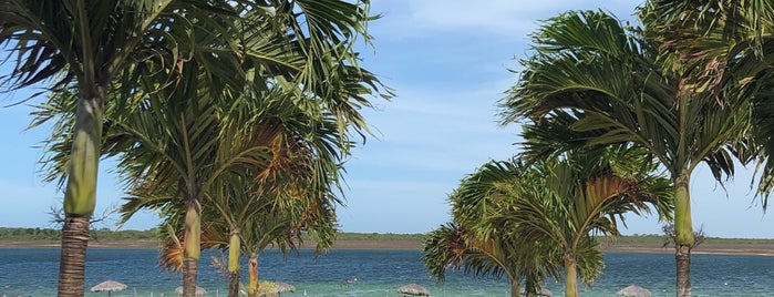 Lagoa do Paraíso is one of Lugares favoritos de Gustavo.