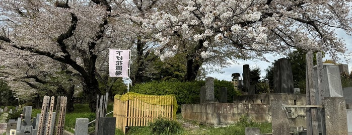 都立染井霊園 is one of 駒込〜王子の花見散歩スポット.