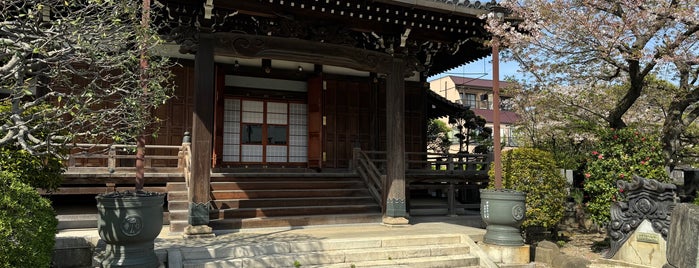 蓮光寺 is one of Shrines & Temples.