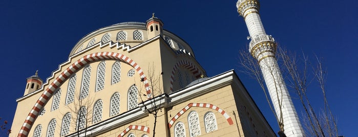 Üsküp Camii is one of Camiler.