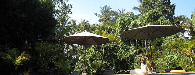 Ketut's Place is one of Places to Check Out in Bali.