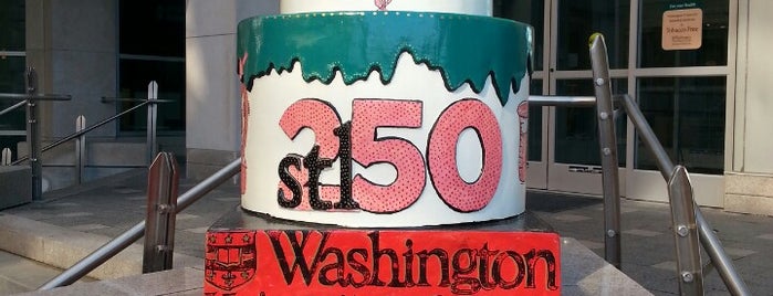 Washington University School of Medicine is one of #STL250 Cakes (Inner Circle).