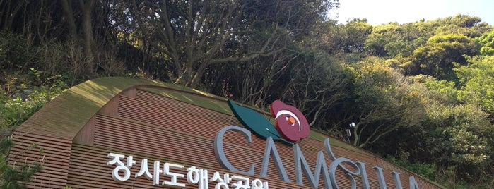 Camellia is one of Tongyeong,통영여행.