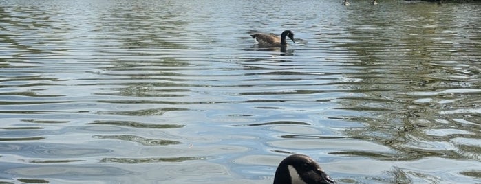 Centennial Park is one of I love Nashville.