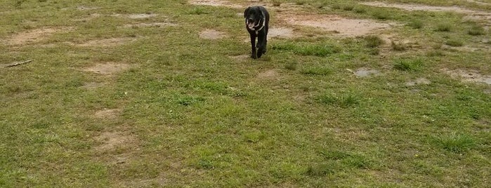 Graves Dog Park is one of Atlanta Dog Parks.