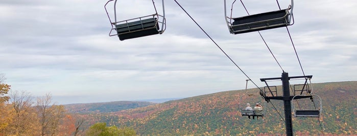 Bristol Mountain Aerial Adventures is one of Things To Do.