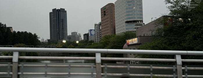Ichigaya Bridge is one of 橋/陸橋.
