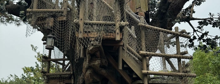Tom Sawyer's Treehouse is one of ディズニー.
