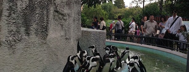 Penguin is one of Tempat yang Disukai Hirorie.