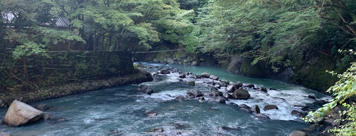 玉ノ緒橋 is one of 渡った橋（東日本）.