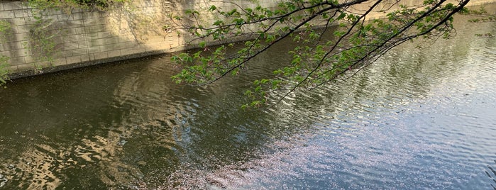 Meguro-shinbashi Bridge is one of 渡った橋（東日本）.