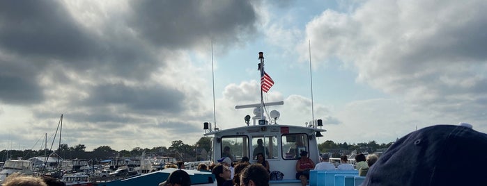 Fire Island Ferries is one of Fire Island.