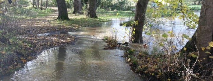 Fetcham Splash is one of Lieux qui ont plu à James.