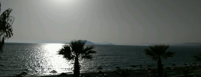 Coast Beach Bar is one of Kökten'in Beğendiği Mekanlar.