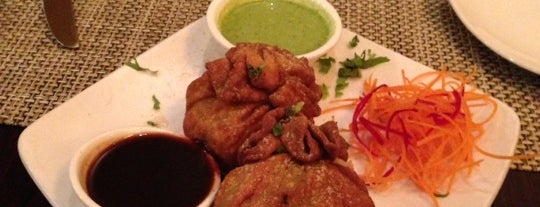 Aditi Indian Dining is one of NOVA food.